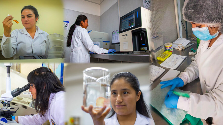 Nueva Beca Pronabec Mujeres En Ciencia Conoce Toda La Información