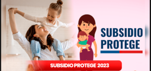 Cómo solicitar el Subsidio Protege: guía para postulantes en las nuevas convocatorias